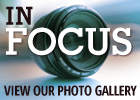in focus photo gallery